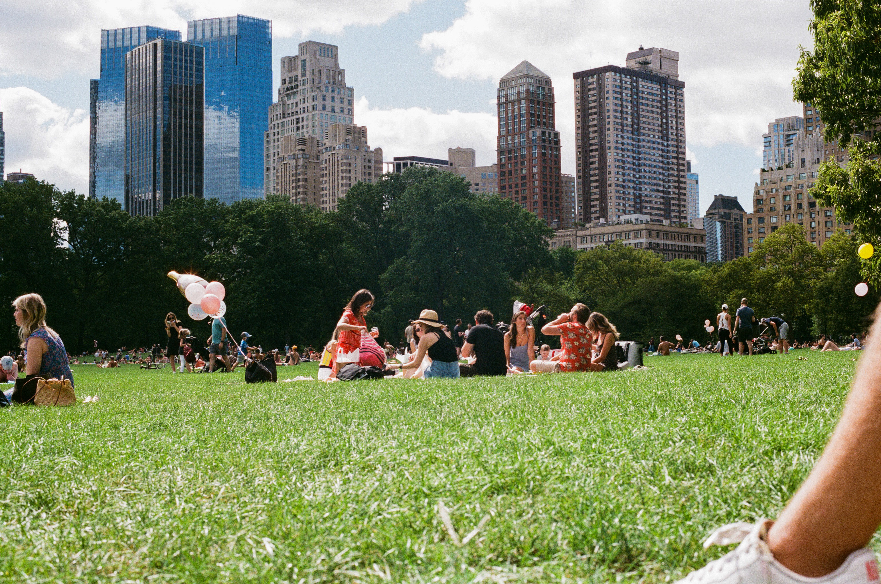 Great Lawn NYC